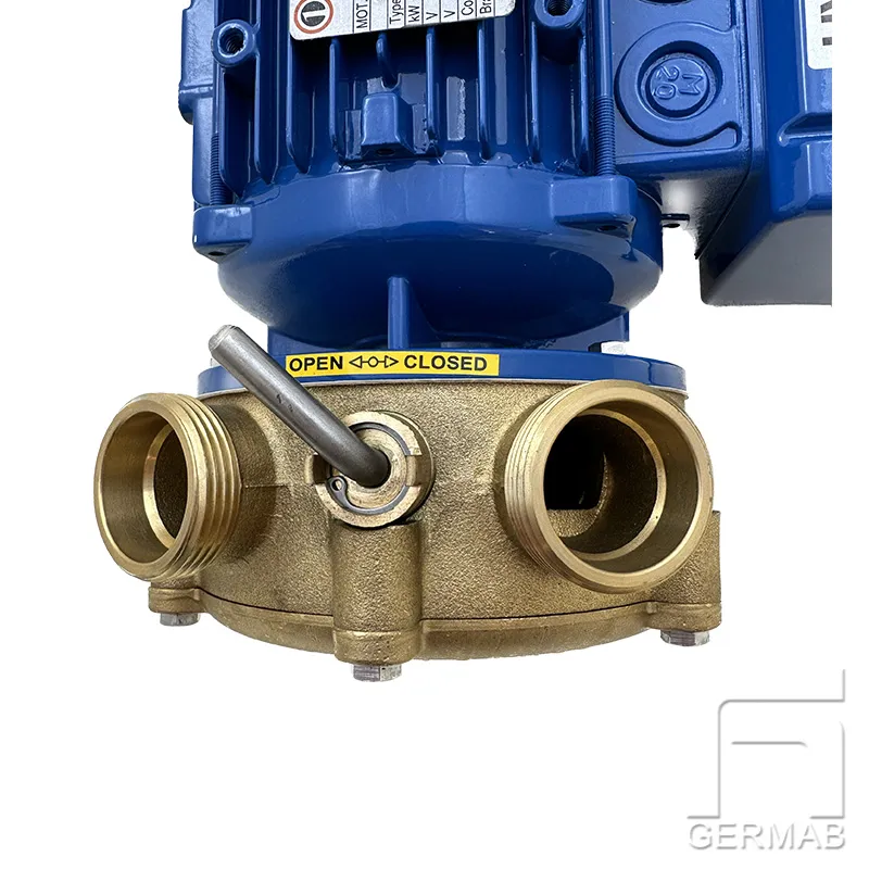 Ringpump 75 l/min brons 230V - Bild 2